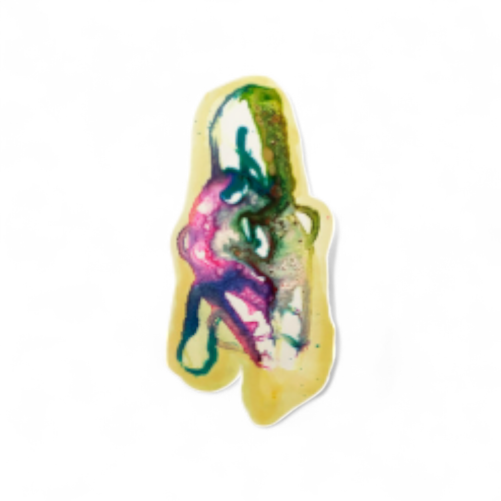 Oil on Paper, Amoeba Series, Susan Block, New York, 2020 - Lot A23